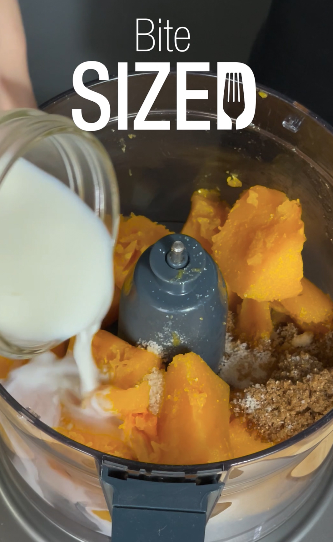 Bariatric Butternut Squash Puree